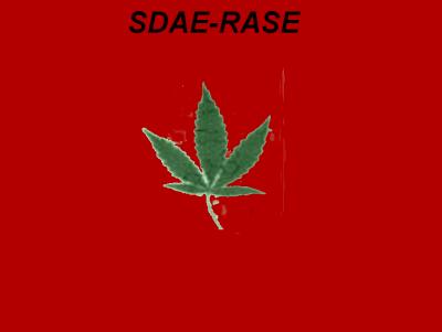 drapeu
